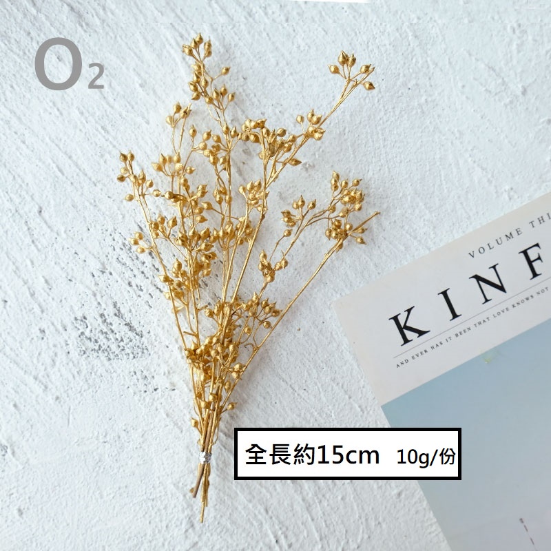 ❰金漆❱ 永生尤加利小米果（1份）,🦊~賣場商品眾多，歡迎參觀選購~🦊