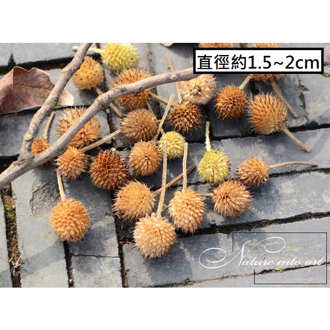 ❰原色❱草莓果(10個),本頁面僅花頭不帶桿