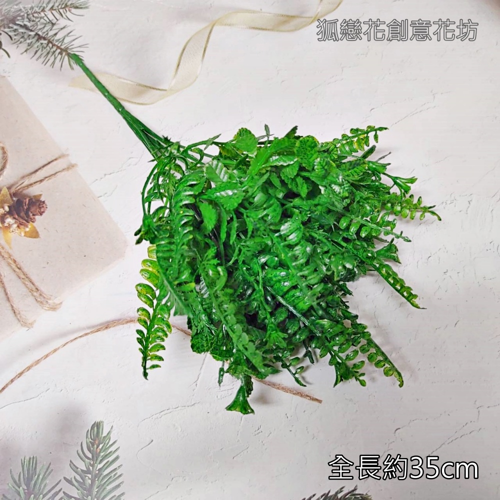 7叉配草(深綠),🦊~賣場商品眾多，歡迎參觀選購~🦊