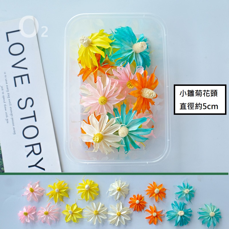 彩色小雛菊❰顏色隨機❱(5朵),本頁面僅花頭不帶桿