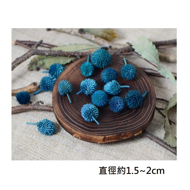 ❰藍色❱草莓果(10個),本頁面僅花頭不帶桿