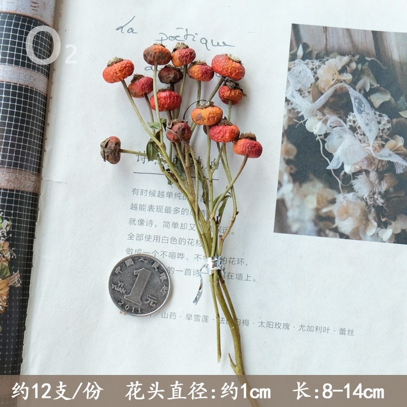 薔薇果(約10枝),🦊~賣場商品眾多，歡迎參觀選購~🦊