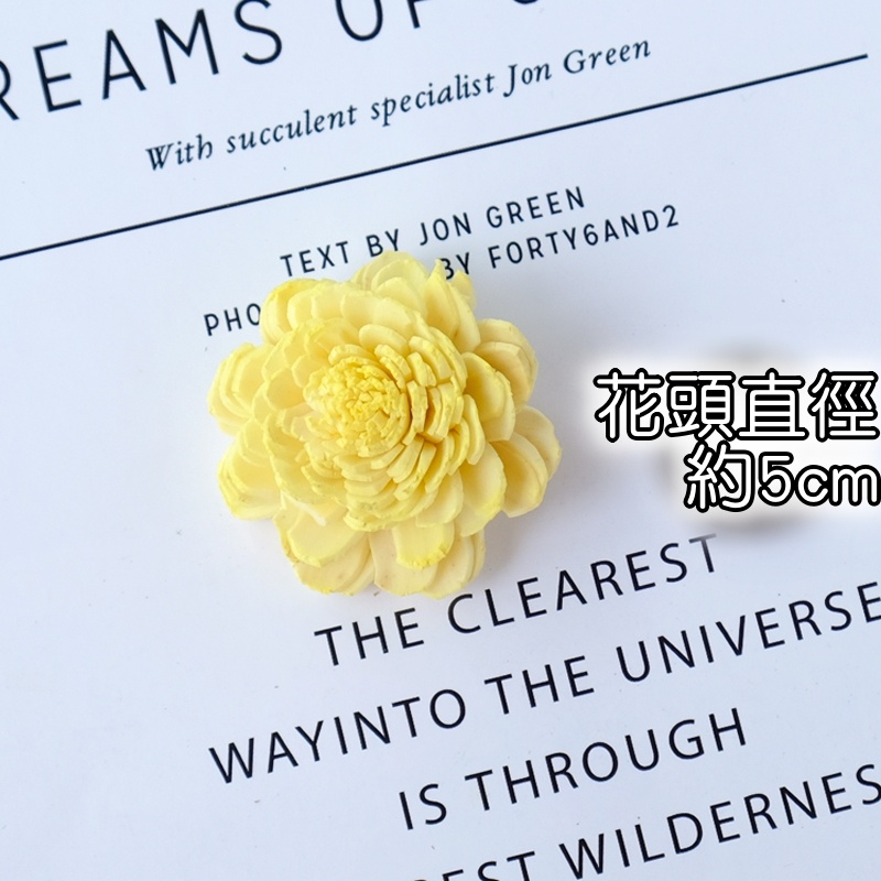 ❰黃❱太陽玫瑰索拉花(小),本頁面僅花頭不帶桿