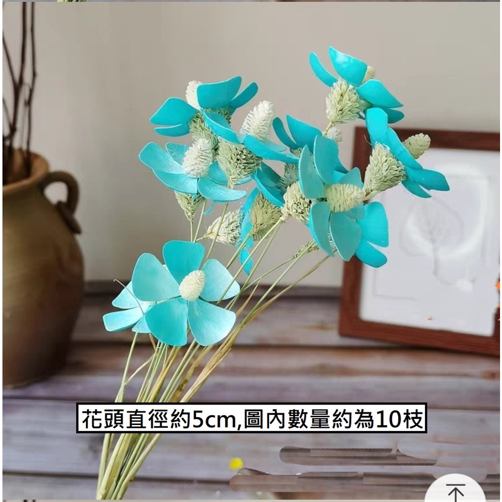 ❰藍❱羅蘭花3朵,本頁面僅花頭不帶桿