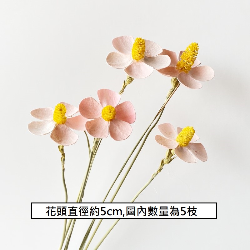 ❰粉❱羅蘭花3朵,本頁面僅花頭不帶桿