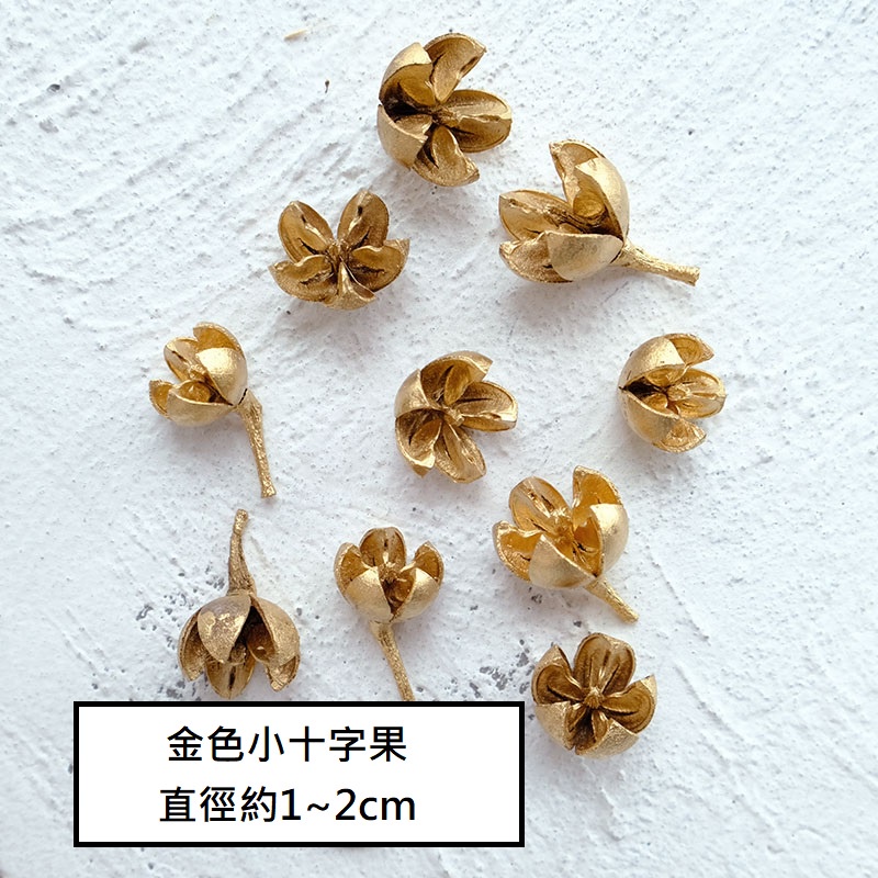 ❰金色❱小十字果(10個),🦊~賣場商品眾多，歡迎參觀選購~🦊