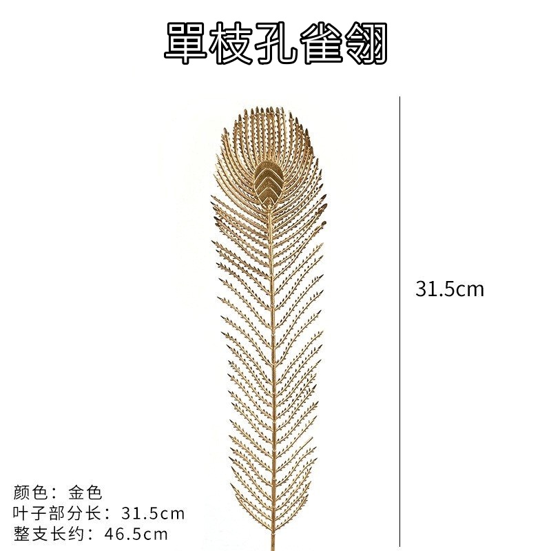 (金漆)單枝孔雀翎(買1送1),🦊~賣場商品眾多，歡迎參觀選購~🦊