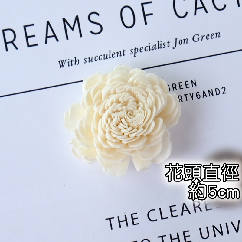 ❰白❱太陽玫瑰索拉花(小),本頁面僅花頭不帶桿