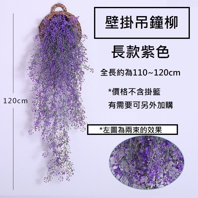 長款壁掛吊鐘柳(金鐘柳)紫色,價錢為1束的價格