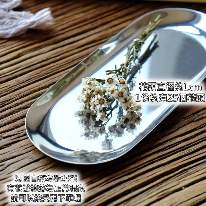 ❰白色❱法國白梅(1份)