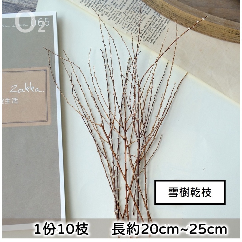 雪樹乾枝(10枝),🦊~賣場商品眾多，歡迎參觀選購~🦊