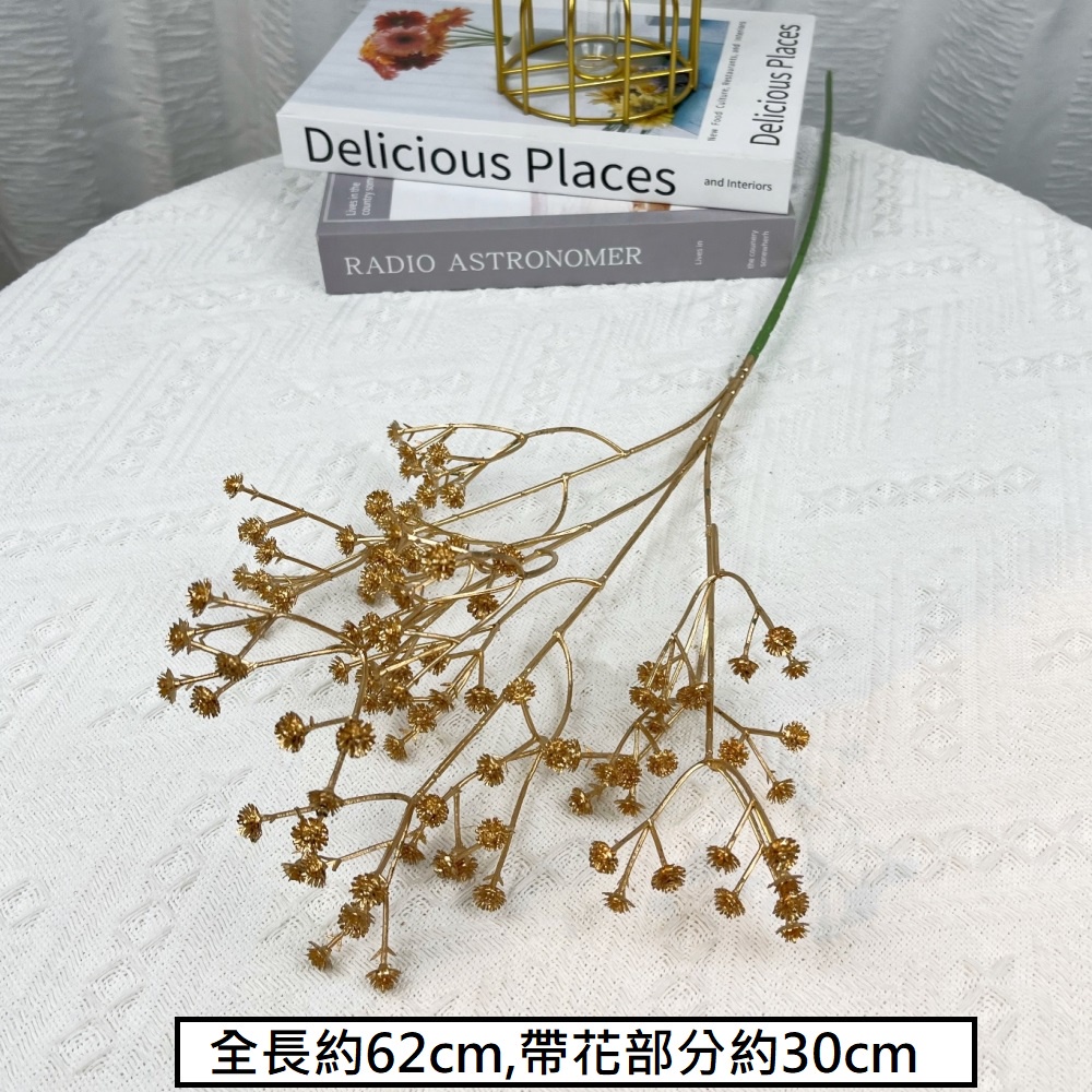 (金漆)滿天星,🦊~賣場商品眾多，歡迎參觀選購~🦊