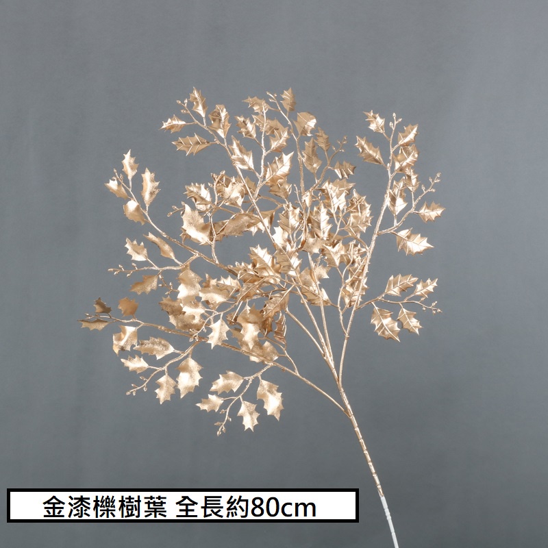 (金漆)櫟樹葉,🦊~賣場商品眾多，歡迎參觀選購~🦊