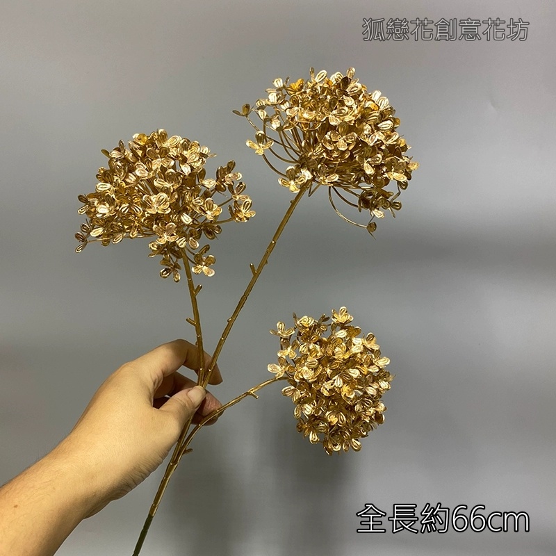 (金漆)三叉木繡球,🦊~賣場商品眾多，歡迎參觀選購~🦊