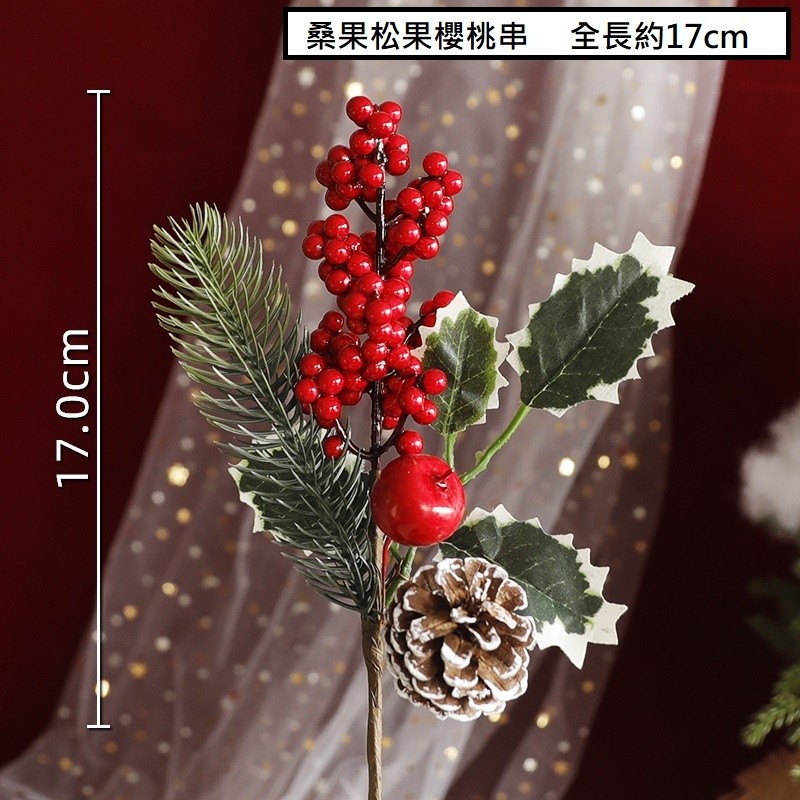 桑果雪松果櫻桃,🦊~賣場商品眾多，歡迎參觀選購~🦊