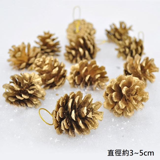 帶繩小〖金〗松果(2顆),🦊~賣場商品眾多，歡迎參觀選購~🦊