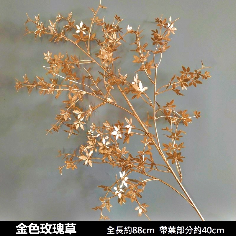 (金漆)長枝玫瑰草,🦊~賣場商品眾多，歡迎參觀選購~🦊