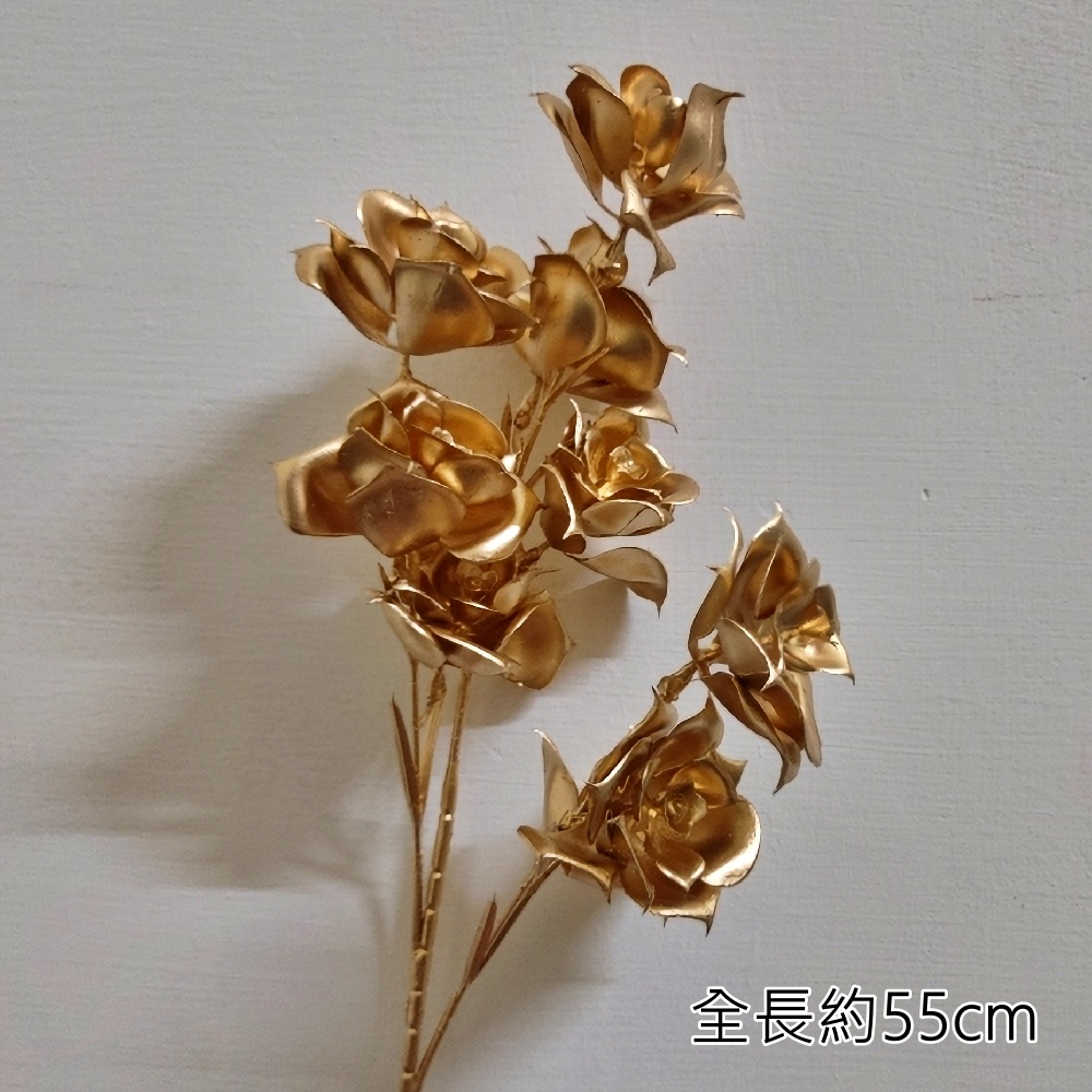 (金漆)9頭玫瑰❰無葉❱(1枝),🦊~賣場商品眾多，歡迎參觀選購~🦊