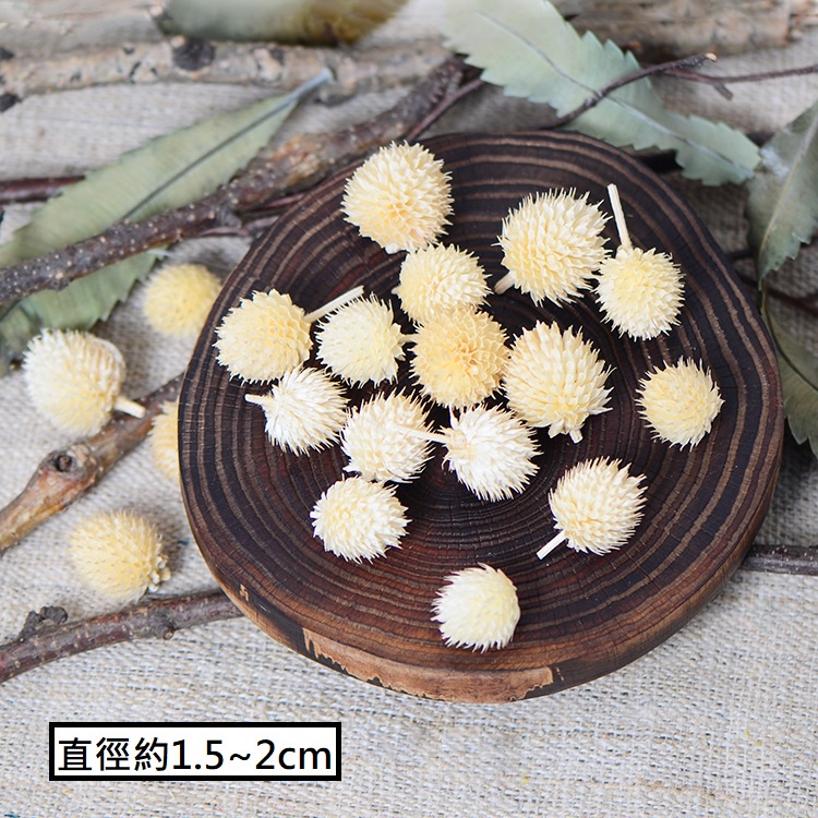 ❰米白❱草莓果(10個),本頁面僅花頭不帶桿