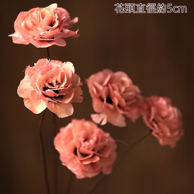 ❰粉❱薔薇1朵,本頁面僅花頭不帶桿