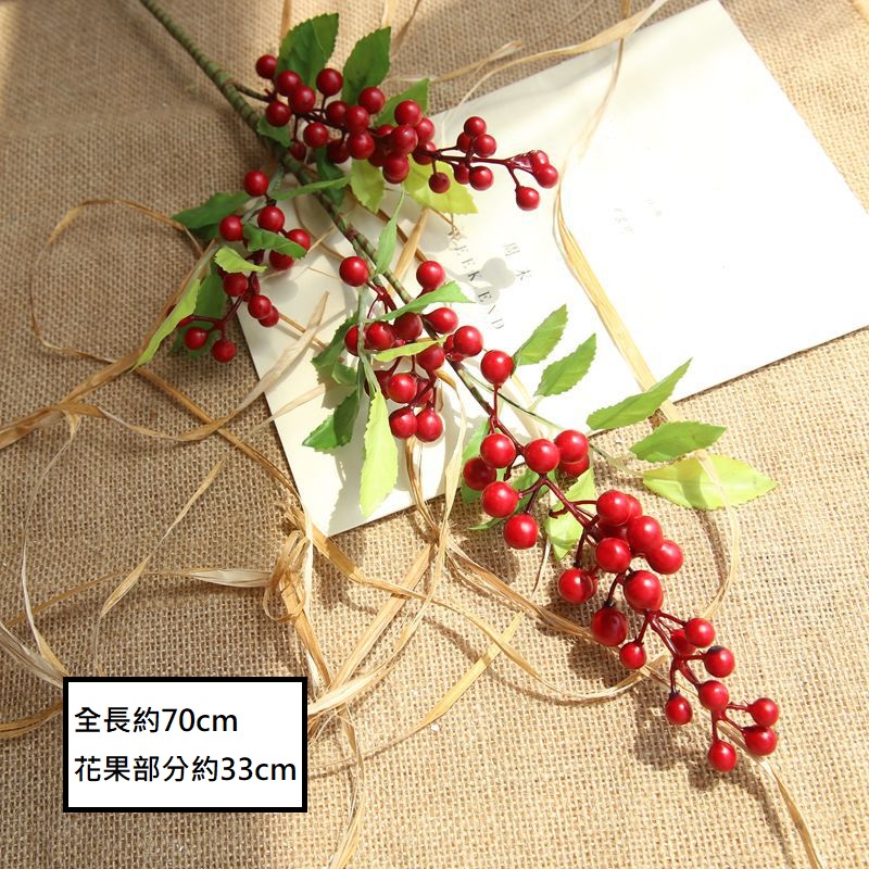 (紅色)長枝漿果串,🦊~賣場商品眾多，歡迎參觀選購~🦊