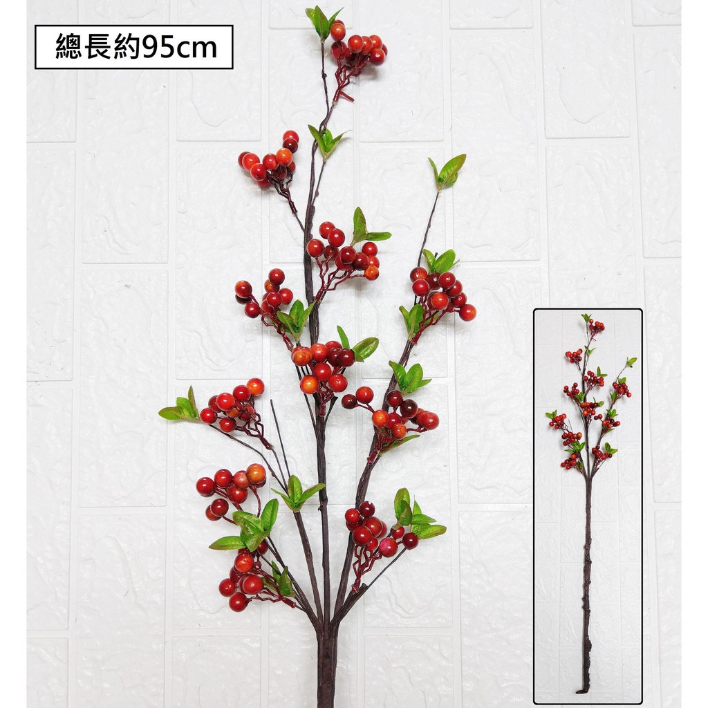 (橘紅色)長枝冬青,🦊~賣場商品眾多，歡迎參觀選購~🦊