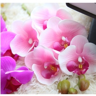 台灣現貨【仿真蝴蝶蘭】絹花蘭花 多頭花枝 會場佈置 新年玄關 婚禮餐廳拍照背景插花 花藝材料 新年佈置