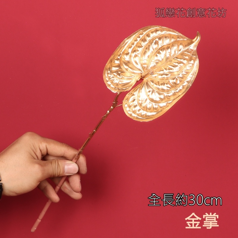 (金漆)火鶴花(1枝),🦊~賣場商品眾多，歡迎參觀選購~🦊
