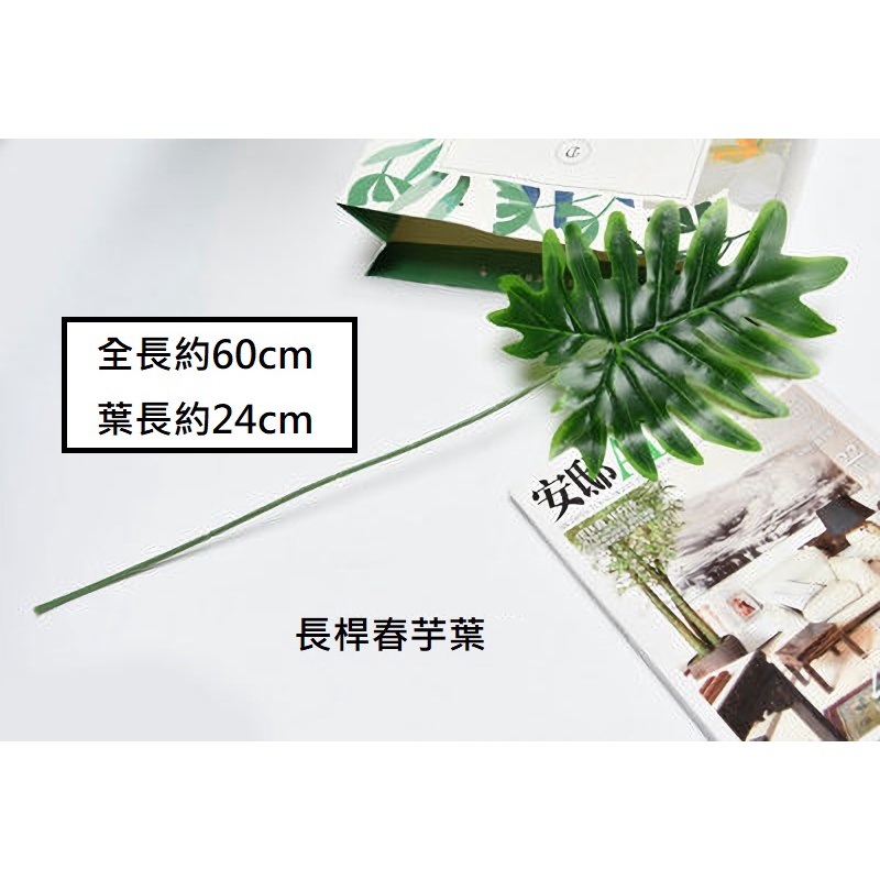 春芋葉,🦊~賣場商品眾多，歡迎參觀選購~🦊