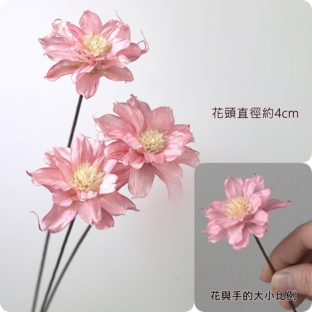 ❰粉❱雲茶花3朵,本頁面僅花頭不帶桿