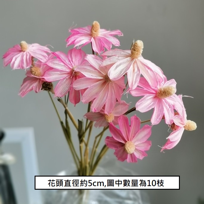 ❰粉❱小雛菊3朵,本頁面僅花頭不帶桿