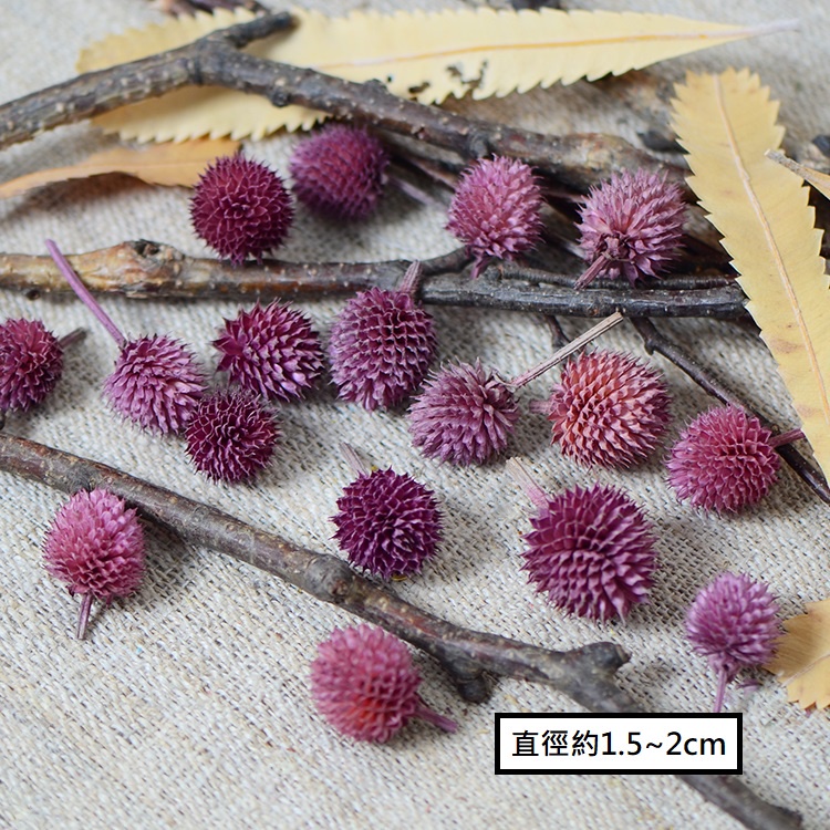 ❰紫色❱草莓果(10個),本頁面僅花頭不帶桿