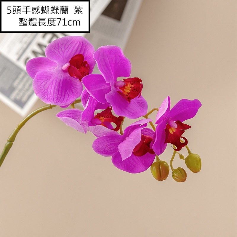 5頭手感蝴蝶蘭❰紫❱,🦊~賣場商品眾多，歡迎參觀選購~🦊