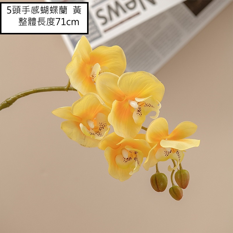 5頭手感蝴蝶蘭❰黃❱,🦊~賣場商品眾多，歡迎參觀選購~🦊