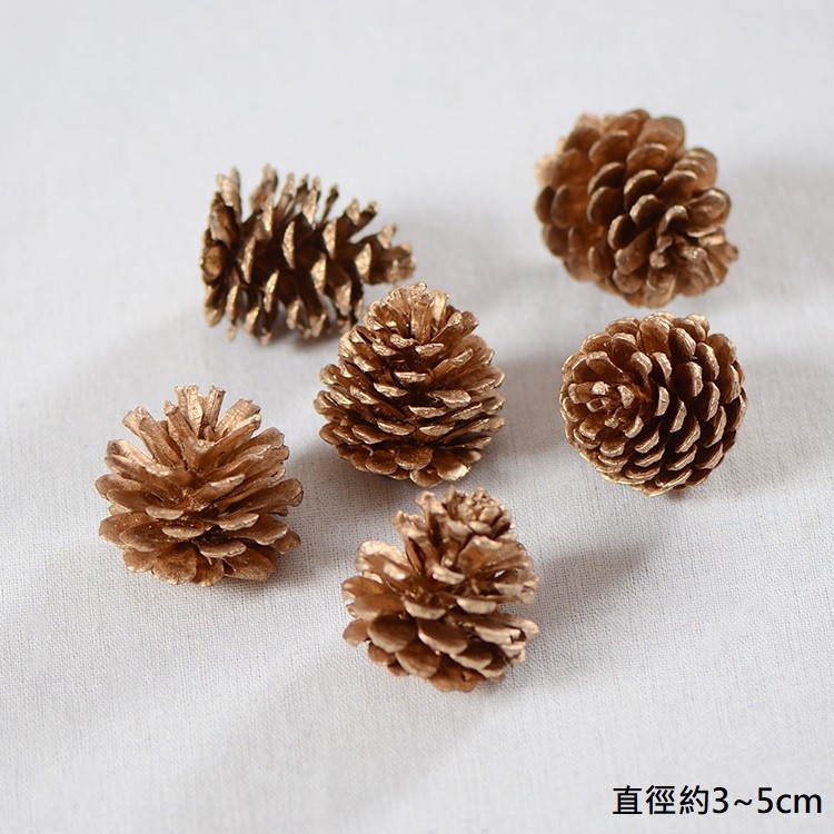 小〖金〗松果(2顆),🦊~賣場商品眾多，歡迎參觀選購~🦊