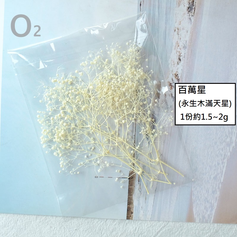 ❰白色❱ 永生百萬星（1份）,🦊~賣場商品眾多，歡迎參觀選購~🦊