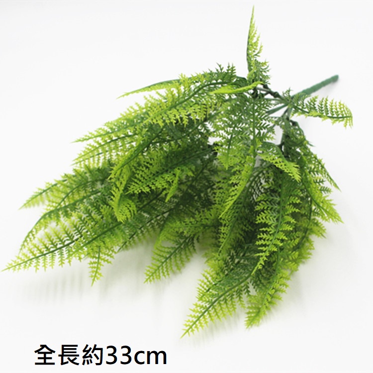 7叉小蕨草,🦊~賣場商品眾多，歡迎參觀選購~🦊