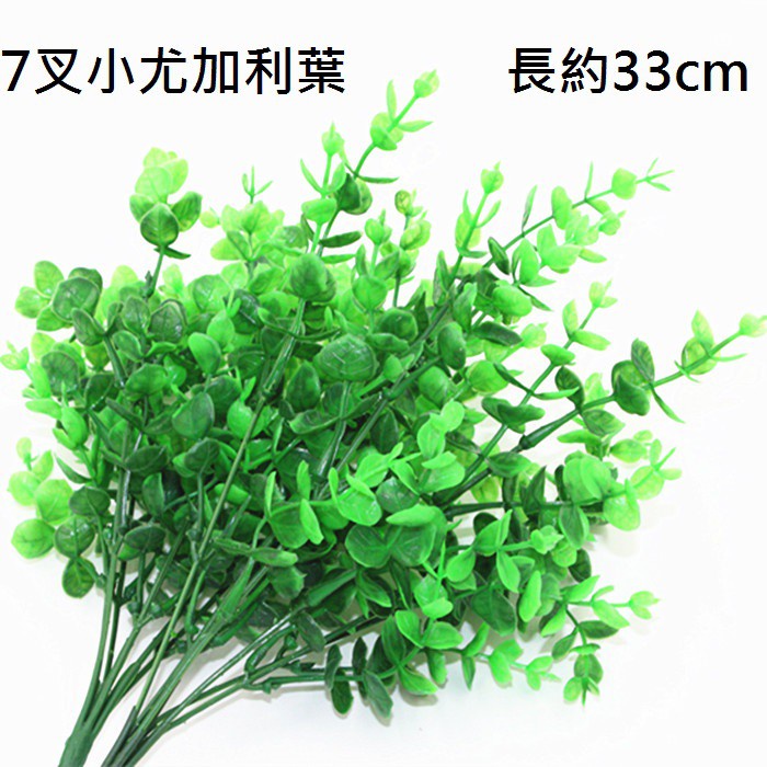 7叉小尤加利葉,🦊~賣場商品眾多，歡迎參觀選購~🦊