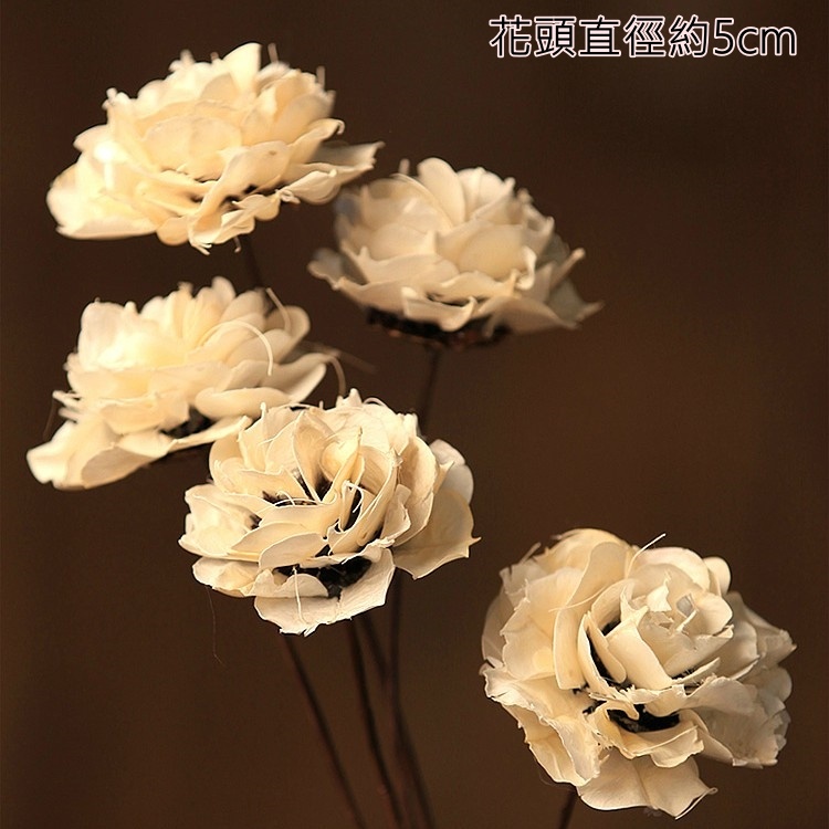 ❰米白❱薔薇1朵,本頁面僅花頭不帶桿