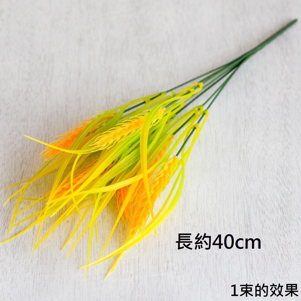 7叉麥穗,🦊~賣場商品眾多，歡迎參觀選購~🦊