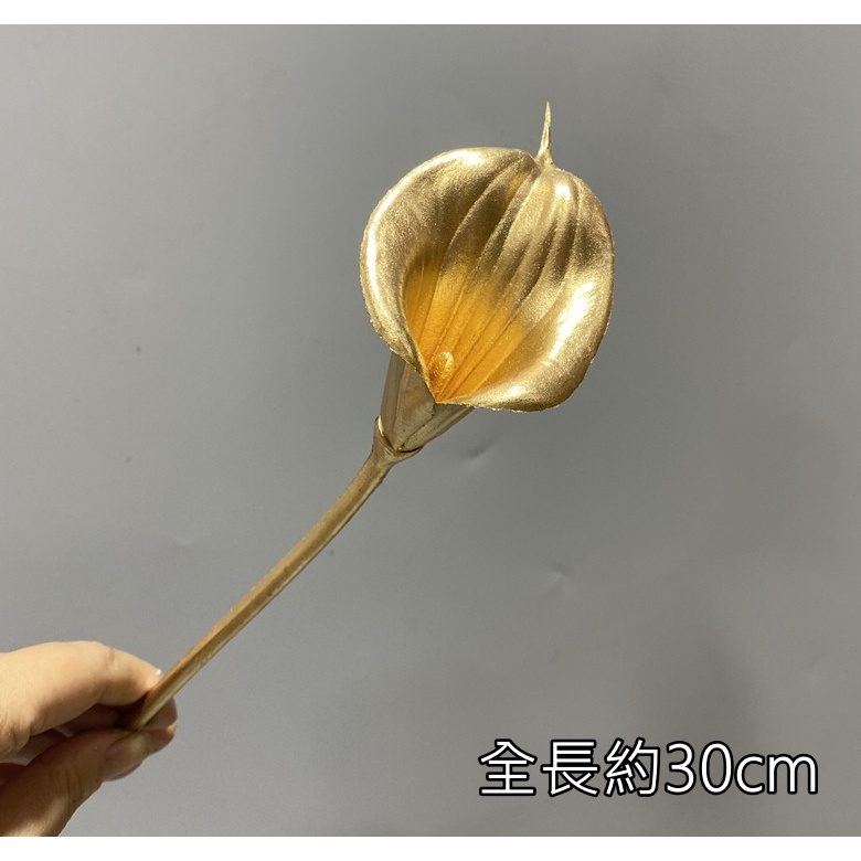 (金漆)海芋(1枝),🦊~賣場商品眾多，歡迎參觀選購~🦊