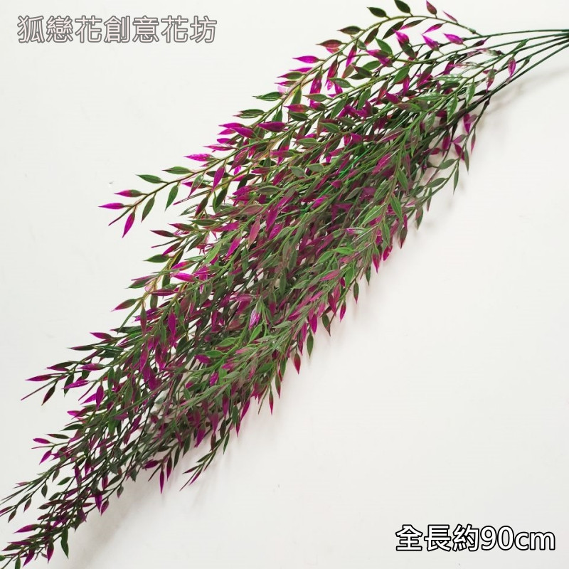 加密款5叉綠柳(桃紫),🦊~賣場商品眾多，歡迎參觀選購~🦊