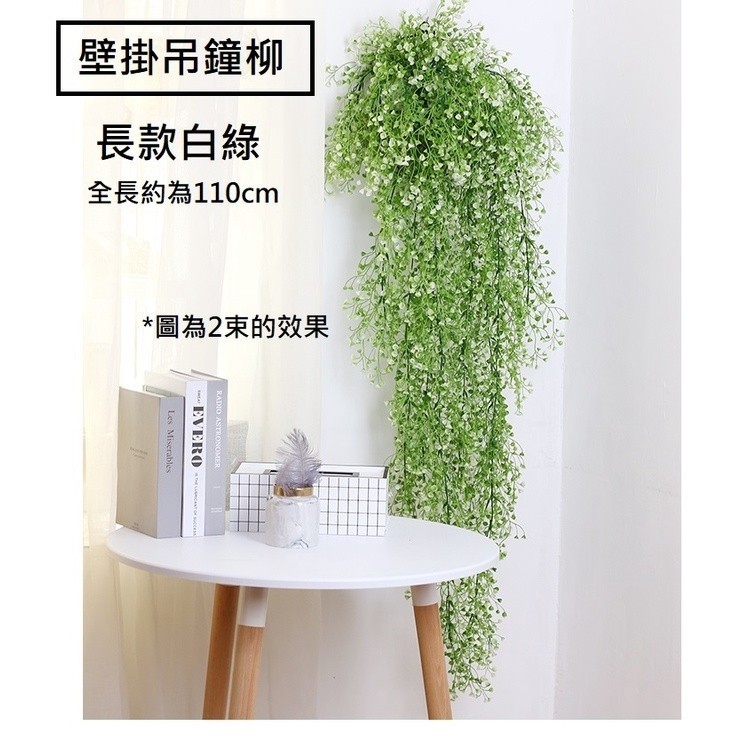 長款壁掛吊鐘柳(金鐘柳)白綠,價錢為1束的價格