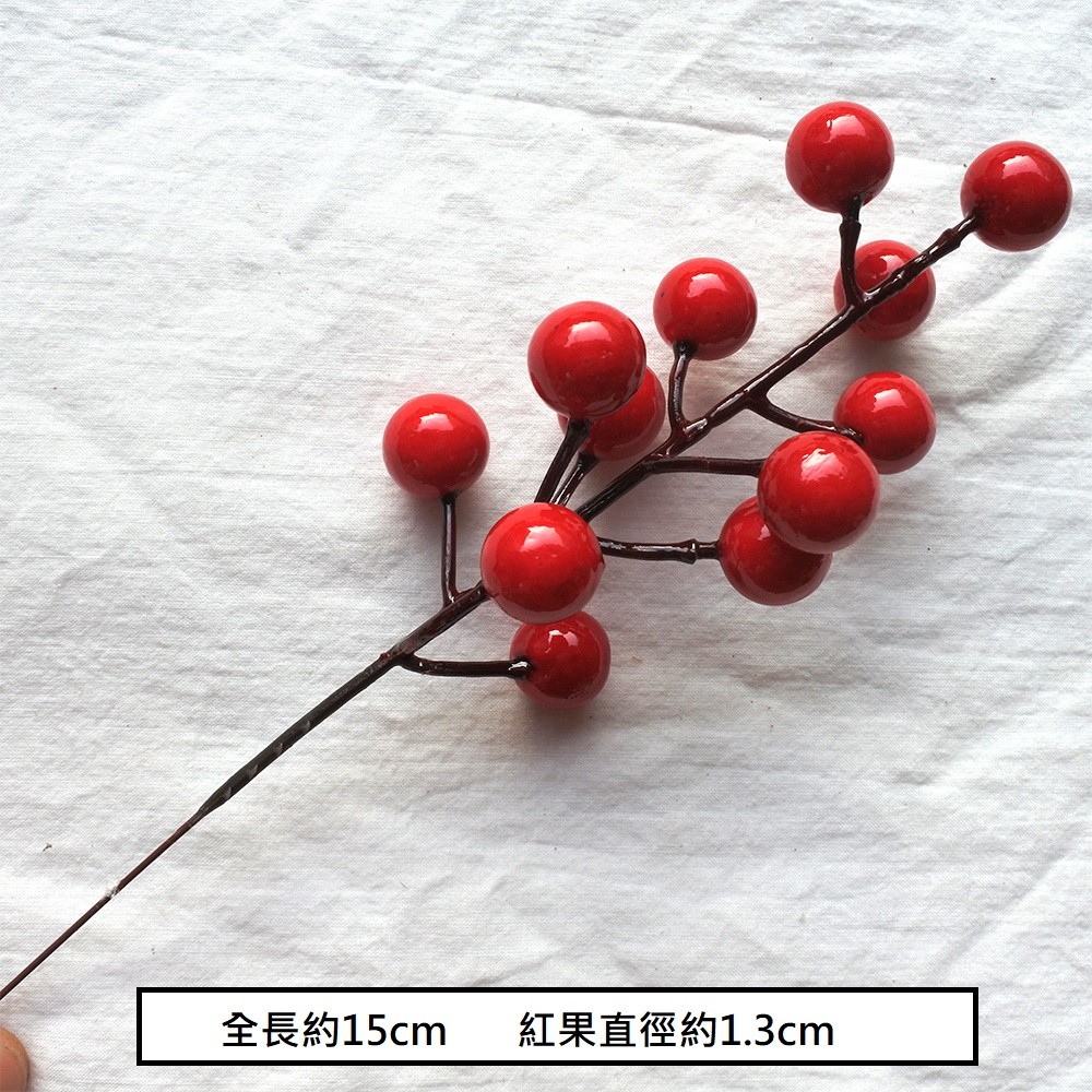 12頭小紅果串(2枝),🦊~賣場商品眾多，歡迎參觀選購~🦊