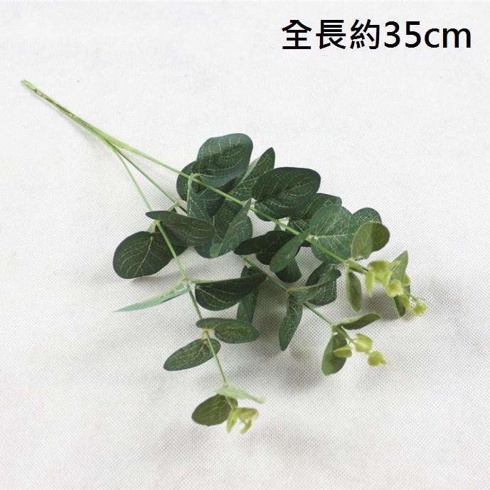 4叉尤加利葉,🦊~賣場商品眾多，歡迎參觀選購~🦊