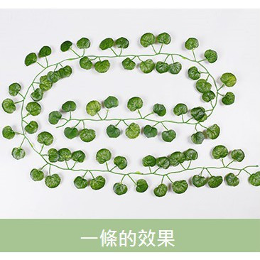 台灣現貨【仿真藤蔓植材】葡萄藤爬山虎綠蘿紅楓葉12條裝 牆面窗邊佈置拍照背景 含防水款 花藝材料