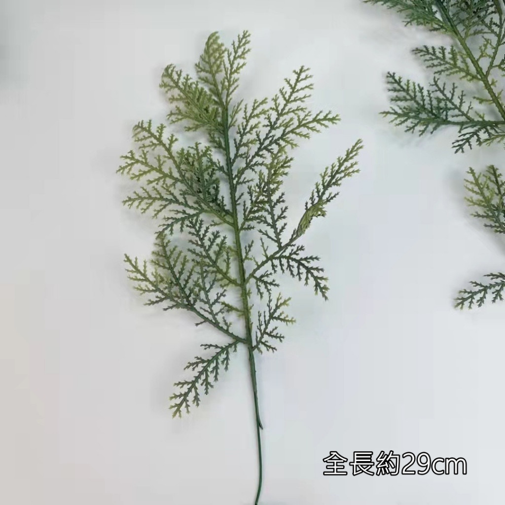 大扁柏葉(1枝),🦊~賣場商品眾多，歡迎參觀選購~🦊