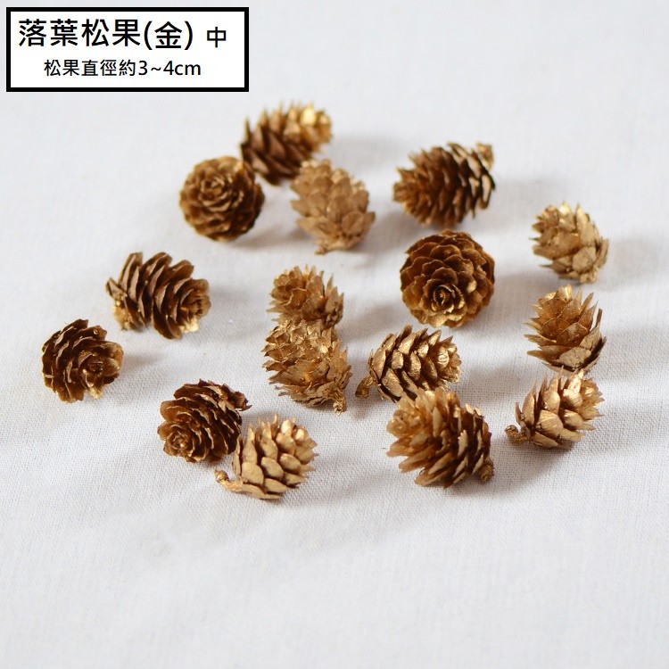 中落葉〖金〗松果(10顆),🦊~賣場商品眾多，歡迎參觀選購~🦊