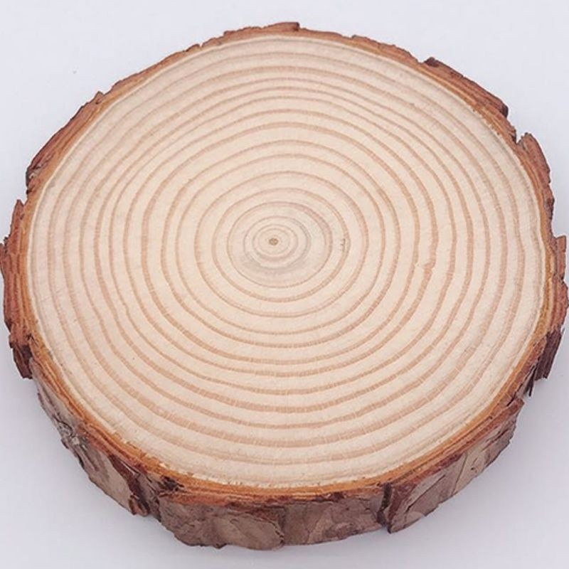 厚1.5cm直徑14-16cm(1片),若有需要不同數量，可在下方加購區加購