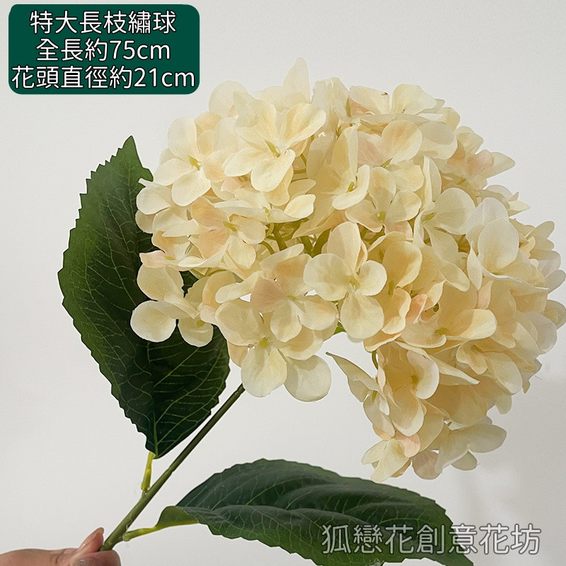 特大長枝繡球❰香檳色❱
